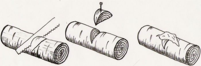 gojenje_gob-knjiznica-32