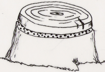 gojenje_gob-knjiznica-39