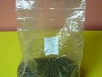 gojenjegob-sterilni_substrat-1