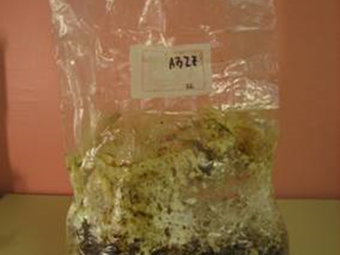 ponudba-gojenjegob-kompleti-5